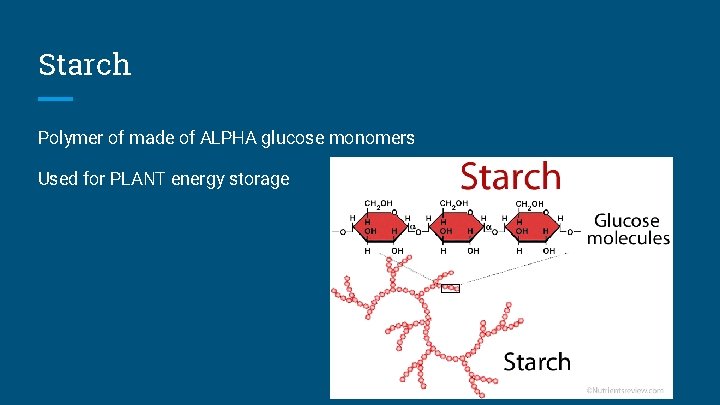 Starch Polymer of made of ALPHA glucose monomers Used for PLANT energy storage 