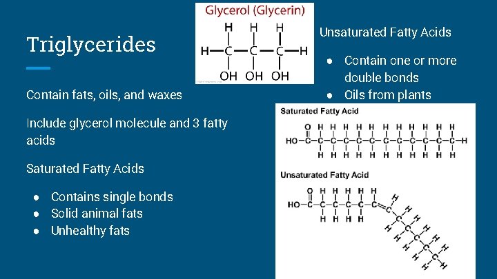 Triglycerides Contain fats, oils, and waxes Include glycerol molecule and 3 fatty acids Saturated