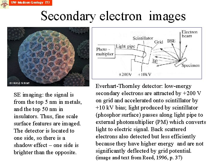 Secondary electron images SE imaging: the signal is from the top 5 nm in