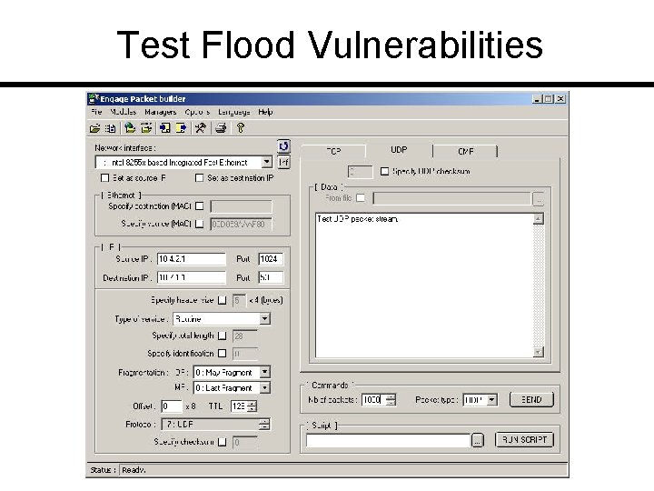 Test Flood Vulnerabilities 