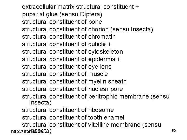 extracellular matrix structural constituent + puparial glue (sensu Diptera) structural constituent of bone structural