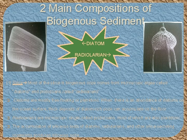 2 Main Compositions of Biogenous Sediment DIATOM RADIOLARIAN [1] Silica Most of the silica
