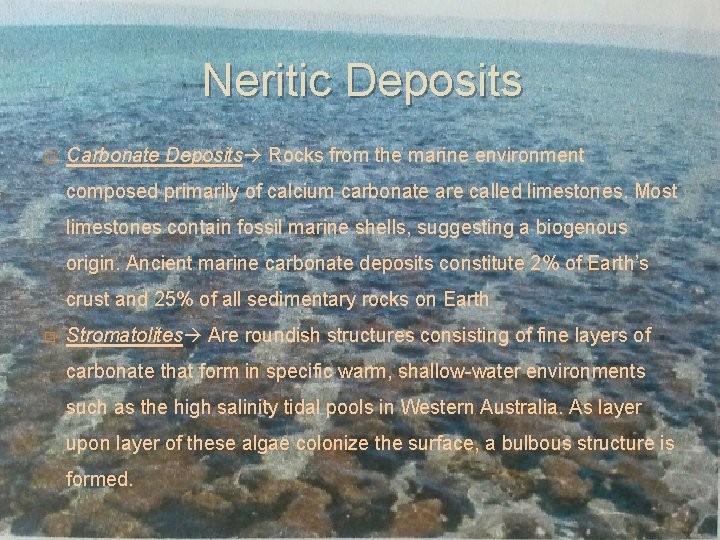 Neritic Deposits � Carbonate Deposits Rocks from the marine environment composed primarily of calcium