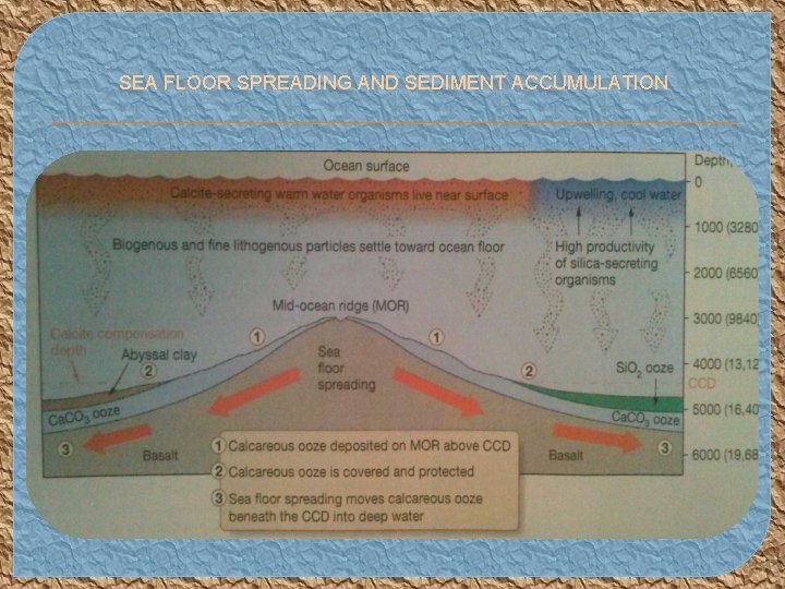 SEA FLOOR SPREADING AND SEDIMENT ACCUMULATION 