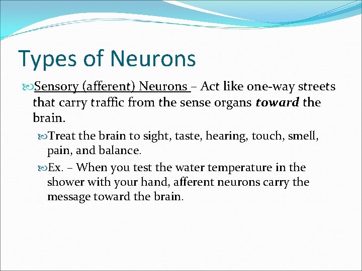 Types of Neurons Sensory (afferent) Neurons – Act like one-way streets that carry traffic