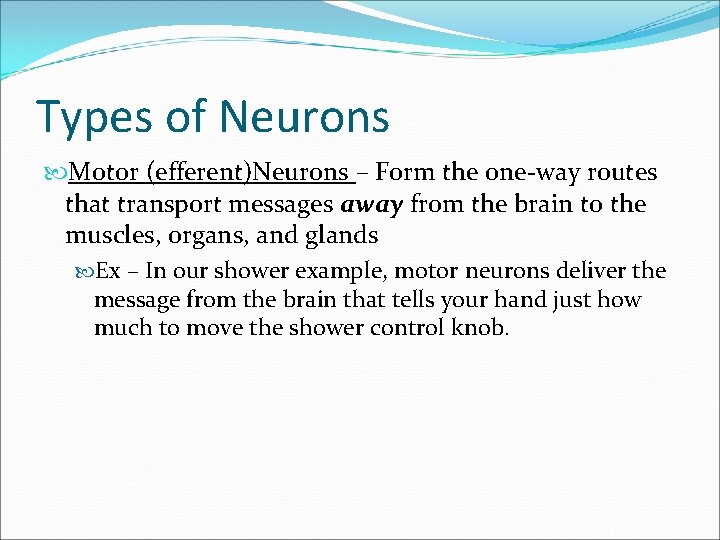 Types of Neurons Motor (efferent)Neurons – Form the one-way routes that transport messages away