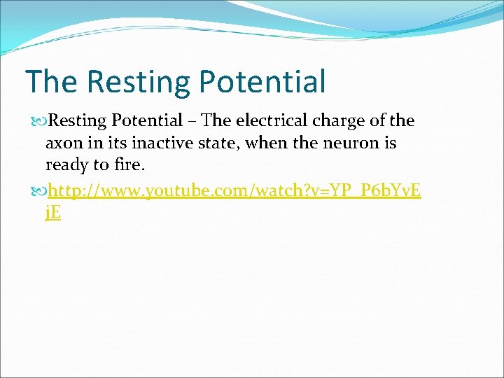 The Resting Potential – The electrical charge of the axon in its inactive state,