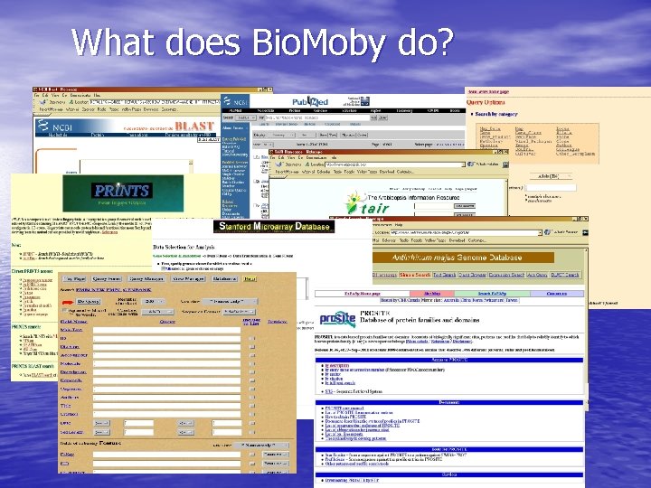 What does Bio. Moby do? 