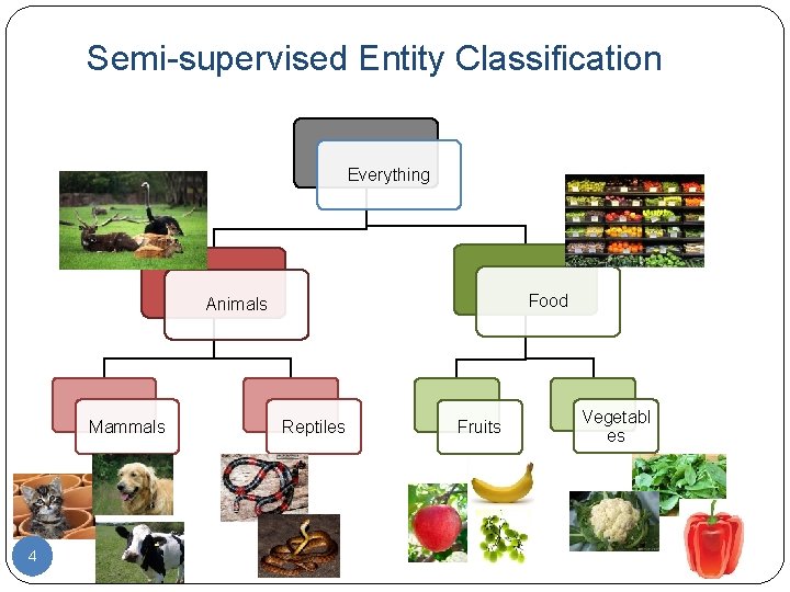Semi-supervised Entity Classification Everything Food Animals Mammals 4 Reptiles Fruits Vegetabl es 