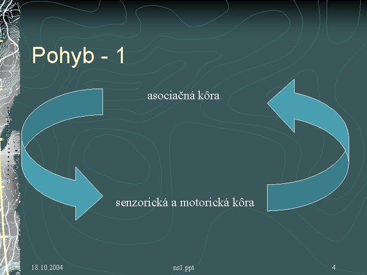 Pohyb - 1 asociačná kôra senzorická a motorická kôra 18. 10. 2004 ns 1.