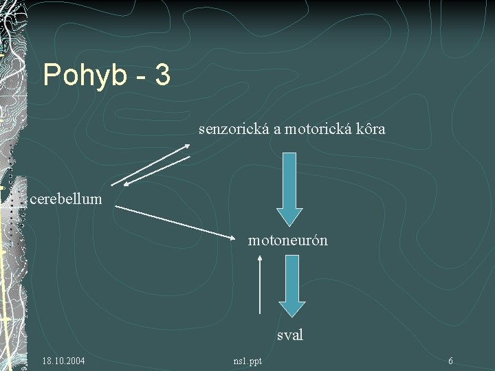 Pohyb - 3 senzorická a motorická kôra cerebellum motoneurón sval 18. 10. 2004 ns