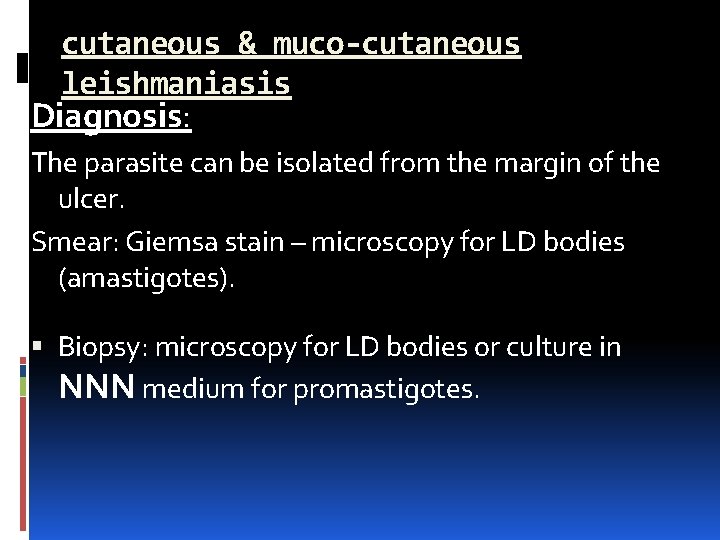 cutaneous & muco-cutaneous leishmaniasis Diagnosis: The parasite can be isolated from the margin of
