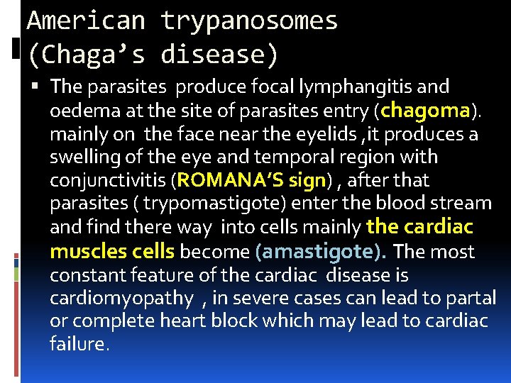 American trypanosomes (Chaga’s disease) The parasites produce focal lymphangitis and oedema at the site