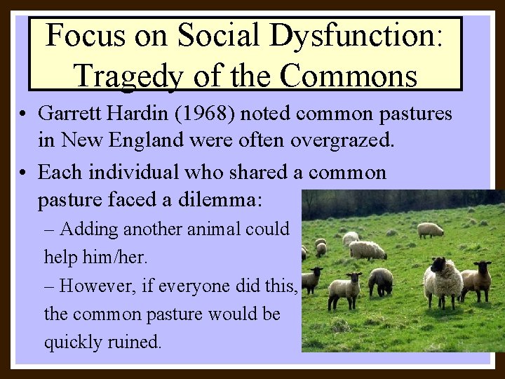 Focus on Social Dysfunction: Tragedy of the Commons • Garrett Hardin (1968) noted common