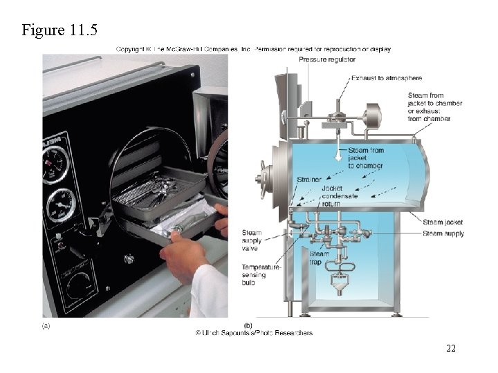 Figure 11. 5 22 