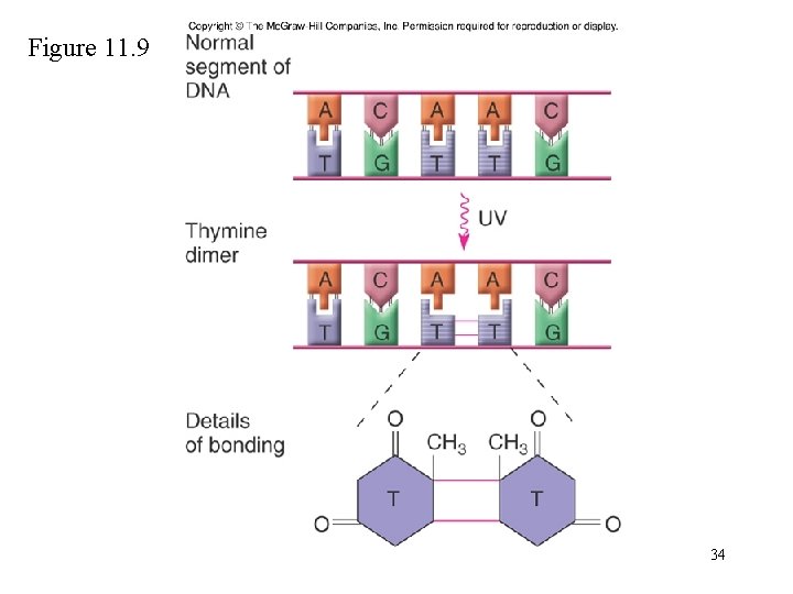 Figure 11. 9 34 