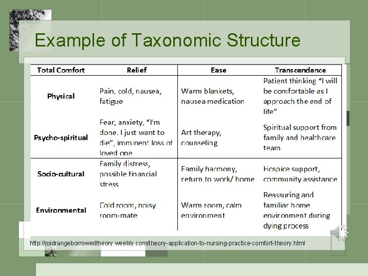 Example of Taxonomic Structure http: //midrangeborrowedtheory. weebly. com/theory-application-to-nursing-practice-comfort-theory. html 
