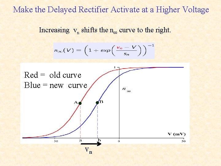 Make the Delayed Rectifier Activate at a Higher Voltage Increasing vn shifts the n