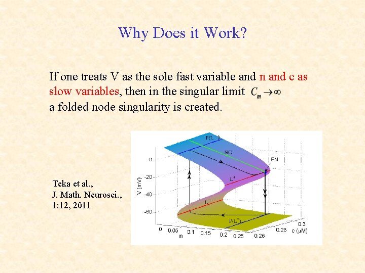 Why Does it Work? If one treats V as the sole fast variable and