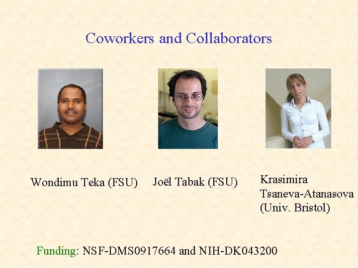 Coworkers and Collaborators Wondimu Teka (FSU) Joël Tabak (FSU) Krasimira Tsaneva-Atanasova (Univ. Bristol) Funding:
