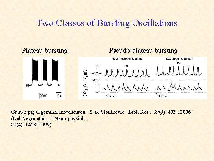 Two Classes of Bursting Oscillations Plateau bursting Pseudo-plateau bursting Guinea pig trigeminal motoneuron S.