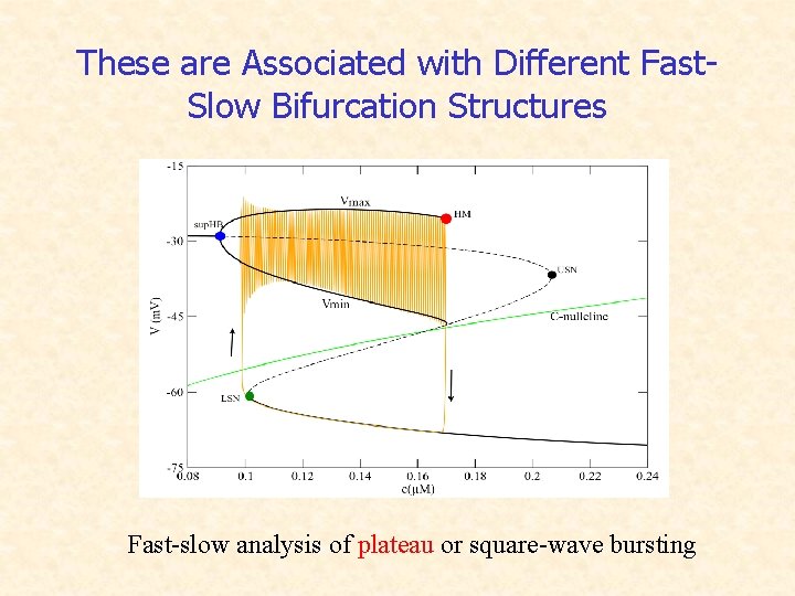 These are Associated with Different Fast. Slow Bifurcation Structures Fast-slow analysis of plateau or