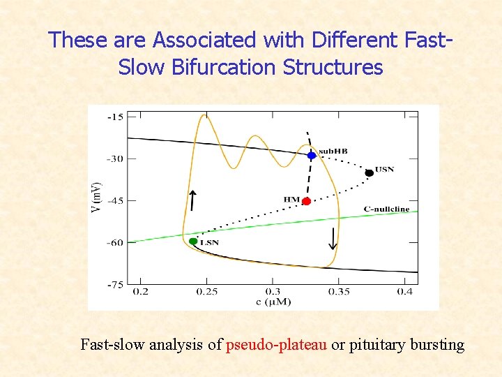 These are Associated with Different Fast. Slow Bifurcation Structures Fast-slow analysis of pseudo-plateau or