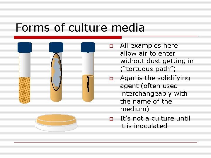 Forms of culture media o o o All examples here allow air to enter