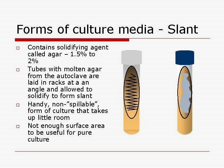 Forms of culture media - Slant o o Contains solidifying agent called agar –