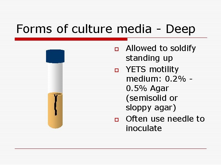 Forms of culture media - Deep o o o Allowed to soldify standing up