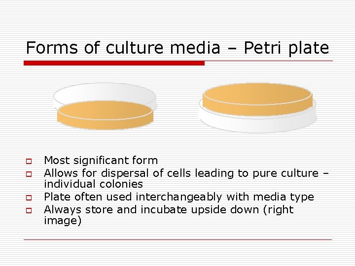 Forms of culture media – Petri plate o o Most significant form Allows for