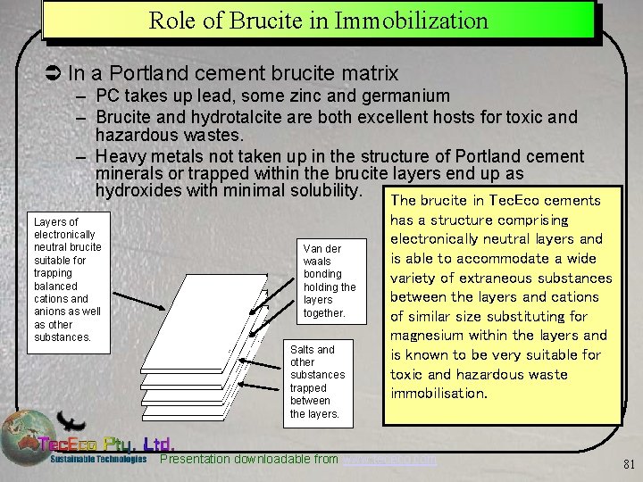 Role of Brucite in Immobilization Ü In a Portland cement brucite matrix – PC