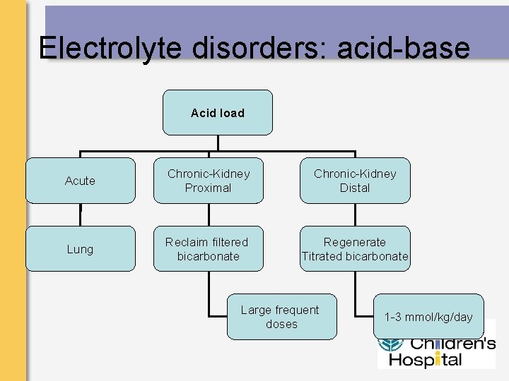 Electrolyte disorders: acid-base Acid load Acute Chronic-Kidney Proximal Chronic-Kidney Distal Lung Reclaim filtered bicarbonate