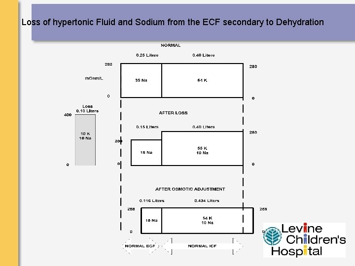 Loss of hypertonic Fluid and Sodium from the ECF secondary to Dehydration 