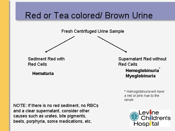 Red or Tea colored/ Brown Urine Fresh Centrifuged Urine Sample Sediment Red with Red