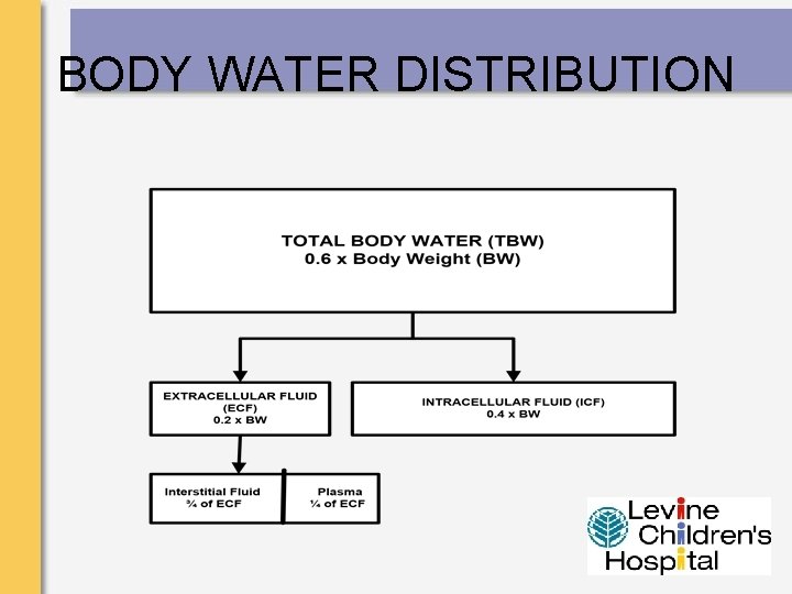 BODY WATER DISTRIBUTION 