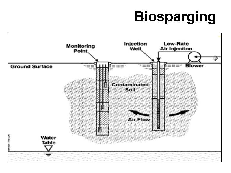 Biosparging 