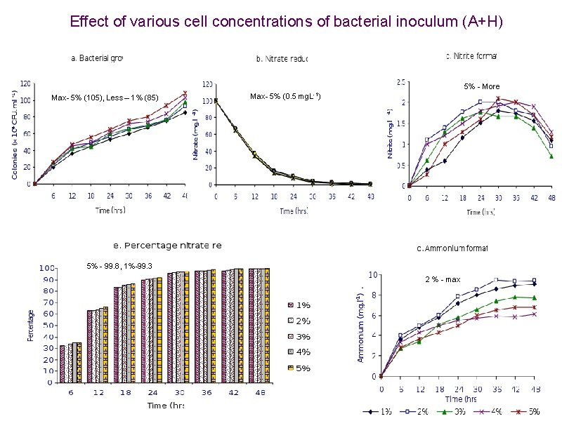 Effect of various cell concentrations of bacterial inoculum (A+H) 5% - More Max- 5%