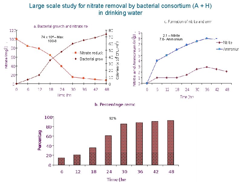 Large scale study for nitrate removal by bacterial consortium (A + H) in drinking