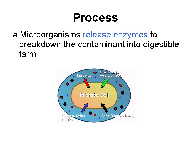 Process a. Microorganisms release enzymes to breakdown the contaminant into digestible farm Process a. Microorganisms release enzymes to breakdown the contaminant into digestible farm