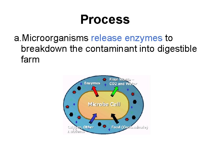 Process a. Microorganisms release enzymes to breakdown the contaminant into digestible farm 