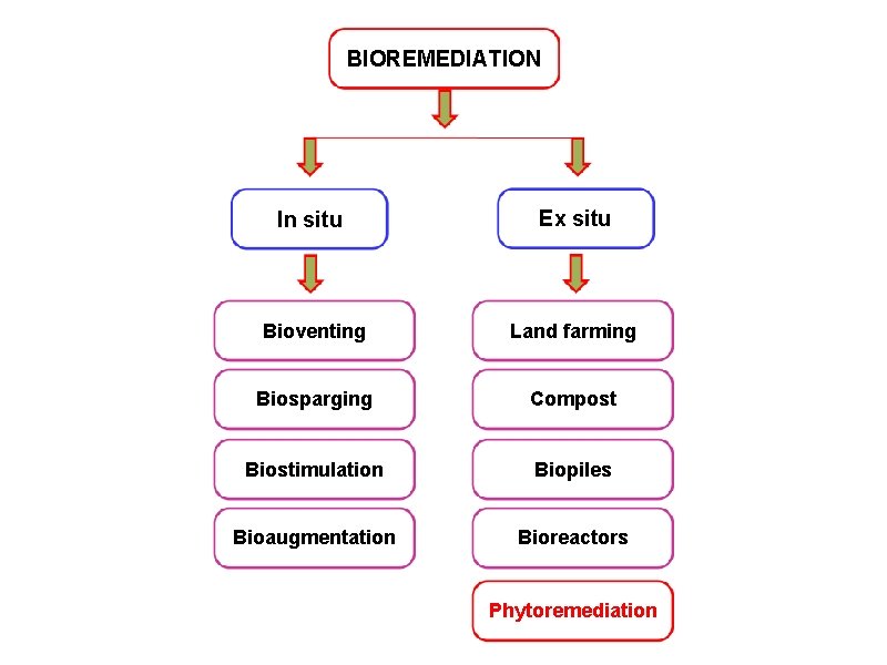 BIOREMEDIATION In situ Ex situ Bioventing Land farming Biosparging Compost Biostimulation Biopiles Bioaugmentation Bioreactors