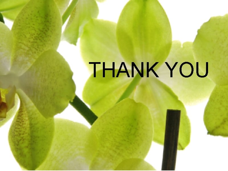 THANK YOU THANK YOU