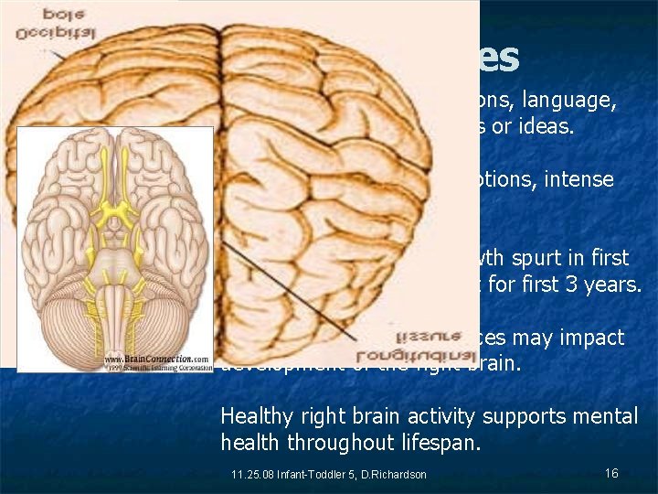 Brain Hemispheres Left side --- positive emotions, language, approaching new situations or ideas. Right