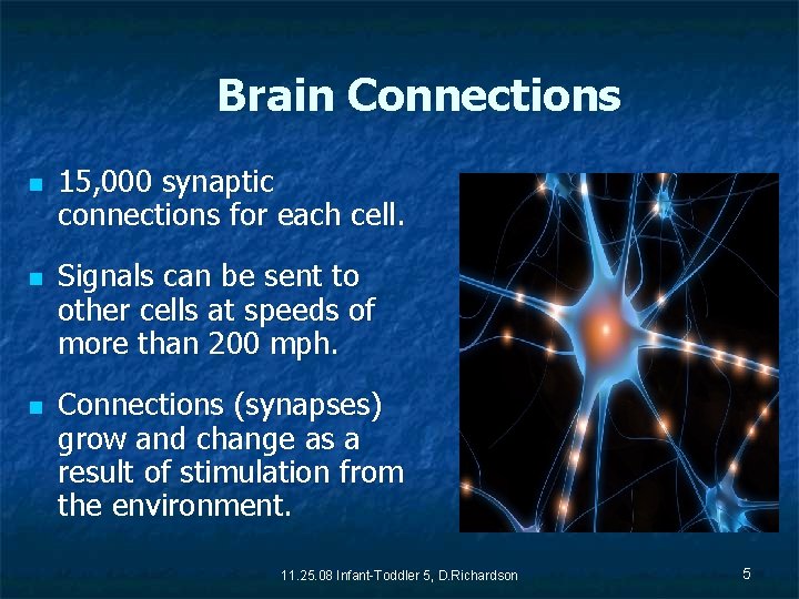 Brain Connections n n n 15, 000 synaptic connections for each cell. Signals can