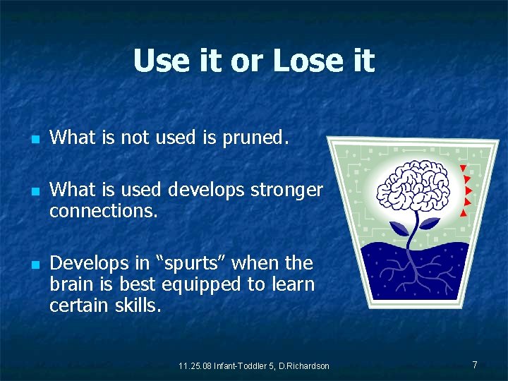 Use it or Lose it n n n What is not used is pruned.