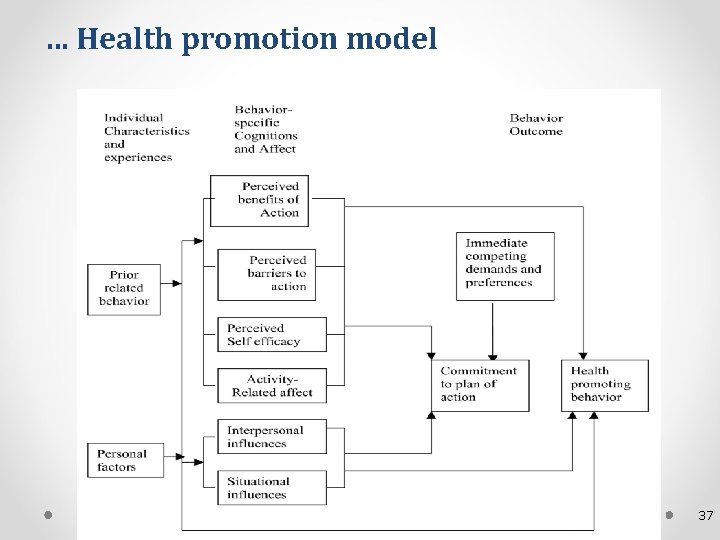 … Health promotion model 37 