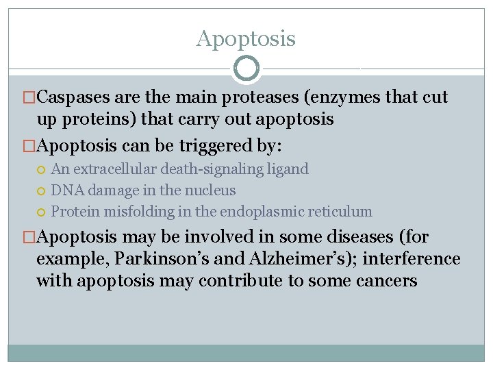 Apoptosis �Caspases are the main proteases (enzymes that cut up proteins) that carry out