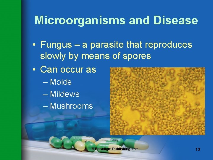 Microorganisms and Disease • Fungus – a parasite that reproduces slowly by means of