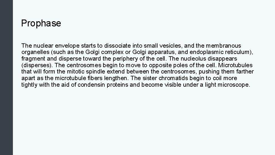 Prophase The nuclear envelope starts to dissociate into small vesicles, and the membranous organelles